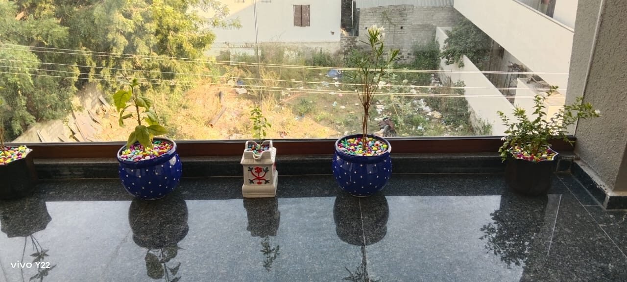 Balcony and Terrace Gardening