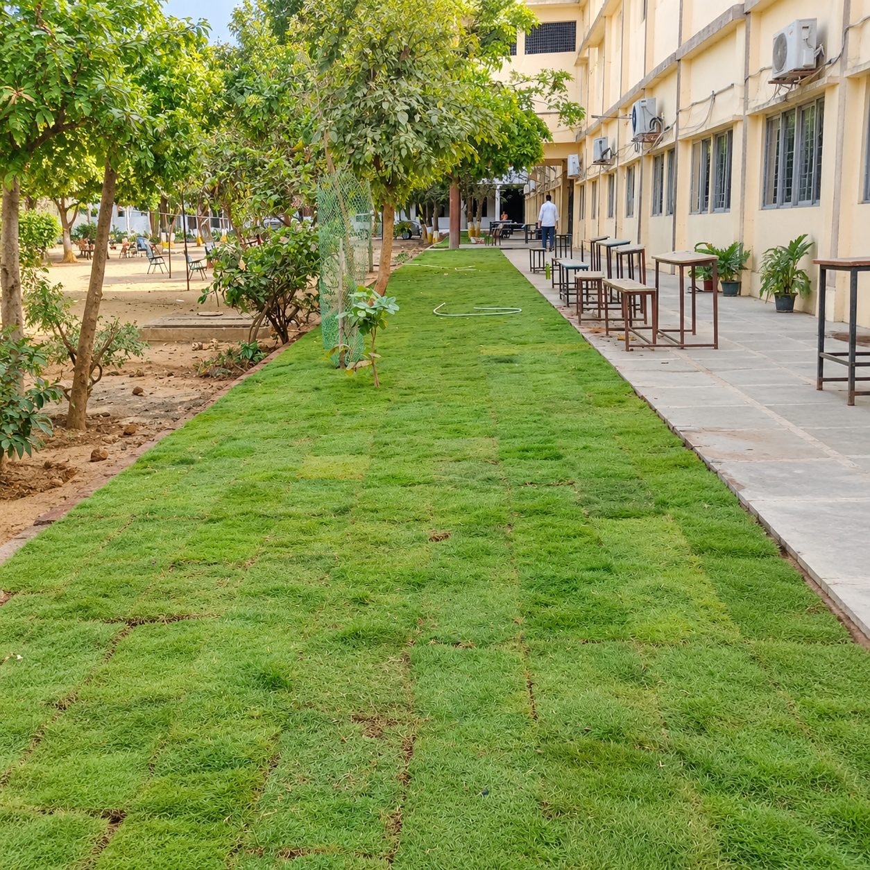 Artificial Grass Setup